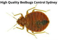Bedbugs Control Sydney image 5