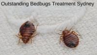 Bedbugs Control Sydney image 6