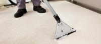 Carpet Steam Cleaning  image 6