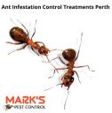 Ant Control perth logo