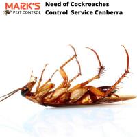 Cockroach Control Canberra image 6