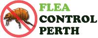 Flea Control Perth image 3