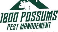 1800POSSUMS - Possum Removal Brisbane image 1
