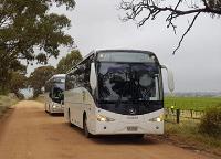 Adelaide Star Bus image 5
