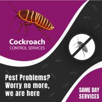 Cockroach Control Brisbane image 5