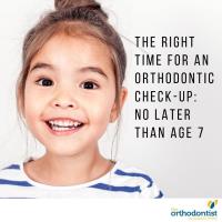 The Orthodontist image 8