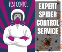 Spider Control Brisbane image 2