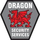 Dragon Security Services logo