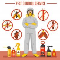 Pest Control Birkdale image 1
