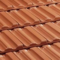 Max Roofing Solution image 1