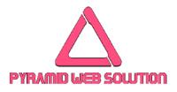 Pyramid Web Solution  image 2