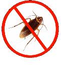 Pest Control Ringwood North logo