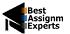 Best Assignment Experts  logo