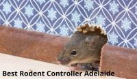 Rodent Control Adelaide image 5