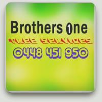 Brothersone Tree Services image 1