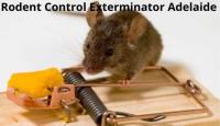 Rodent Control Adelaide image 1