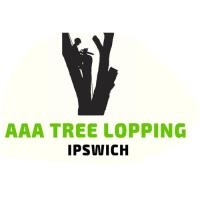 AAA - Tree Lopping Ipswich image 1