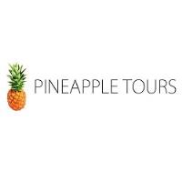 Pineapple Tours image 1