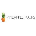 Pineapple Tours logo