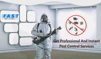 Pest Control Kedron image 2