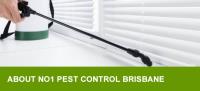 NO1 Pest Control Brisbane image 4