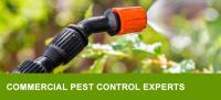 NO1 Pest Control Brisbane image 6
