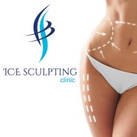 ICE Sculpting Clinic image 1