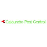 Caloundra Pest Control image 1