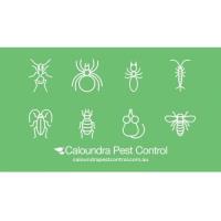 Caloundra Pest Control image 4