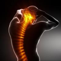Northern Spinal & Sports Injury Clinic image 2