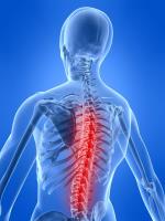 Northern Spinal & Sports Injury Clinic image 4