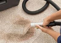 Carpet Cleaning Mooloolah Valley image 3