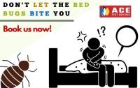 Extermination of Bed Bugs Brisbane image 3