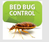 Extermination of Bed Bugs Brisbane image 1