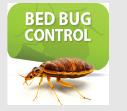 Extermination of Bed Bugs Brisbane logo