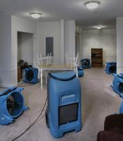Sydney Carpet Cleaning and Restoration image 18