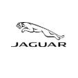 Parramatta Jaguar logo