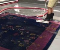 Green Cleaners Team - Rug Cleaning Hobart image 2
