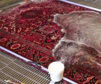 Green Cleaners Team - Rug Cleaning Melbourne image 3