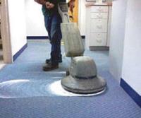 Carpet Cleaning Browns Plains image 5