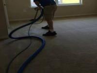 Carpet Cleaning Upper Coomera image 1