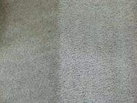 Carpet Cleaning Pimpama image 5