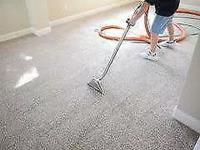 Carpet Cleaning Ashgrove image 4