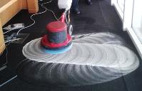 Carpet Cleaning Elwood image 4