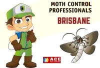 Ace Moth Control Brisbane image 4
