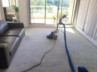 Carpet Cleaning Mawson Lakes image 9