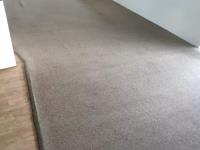 Carpet Cleaning Findon image 3