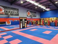 Martial Arts Classes image 4