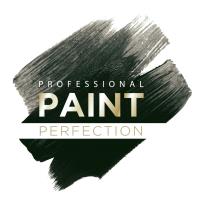 Professional Paint Perfection image 1