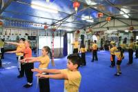 Wing Chun Kung Fu for Children image 4